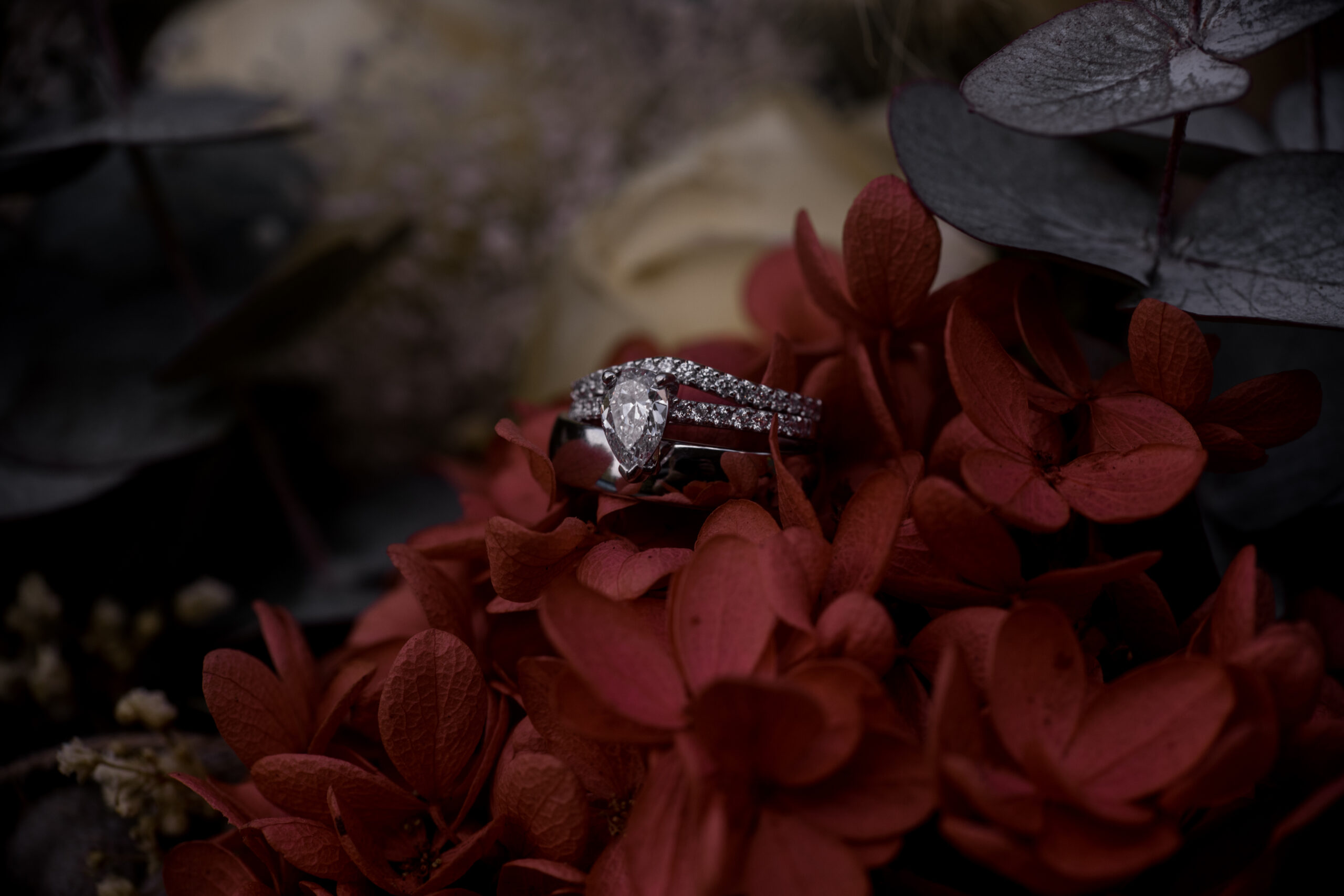 Close up of wedding rings photographed on the brides bouquet at crystal creek rainforest retreat. CCRR
