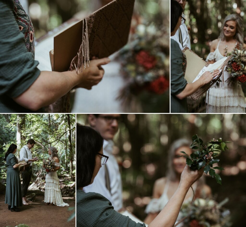 The celebrant reading while holding fallen leaves from the location as a blessing for the couple at the fig tree, crystal creek rainforest retreat (CCRR)